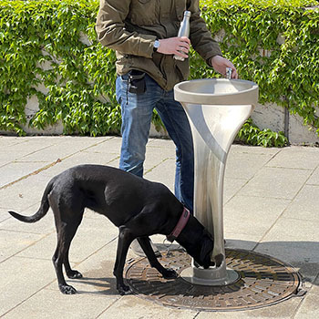 IONDESIGN drinking fountain bottle dog